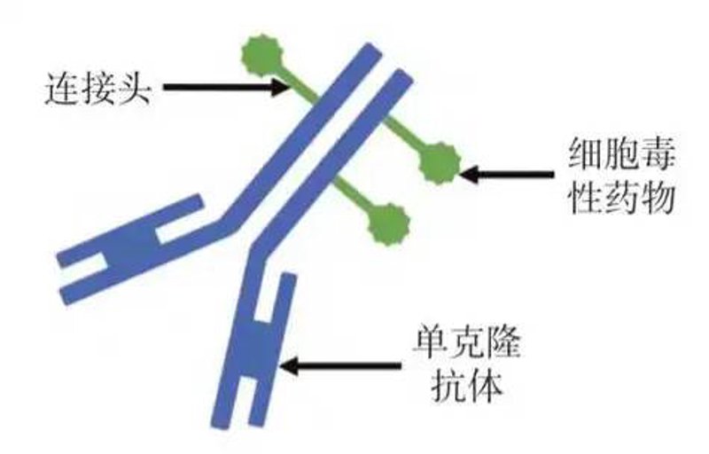 生物制品行业：科技与生命共舞的未来篇章