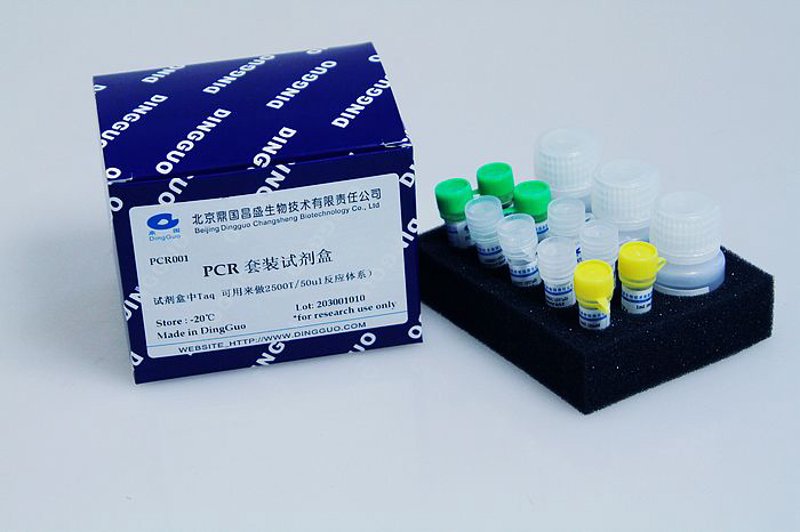 生物技术研发：开启未来之门