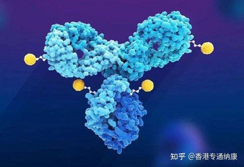 细胞治疗：未来医疗的新方向